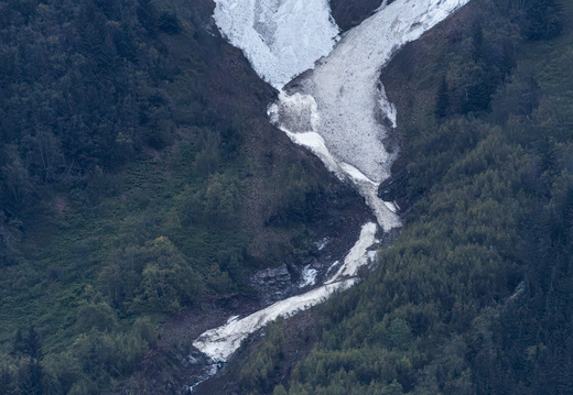 IMG 7775