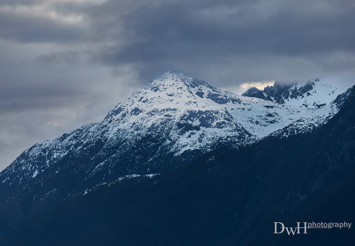 2025 Quantum of the Seas